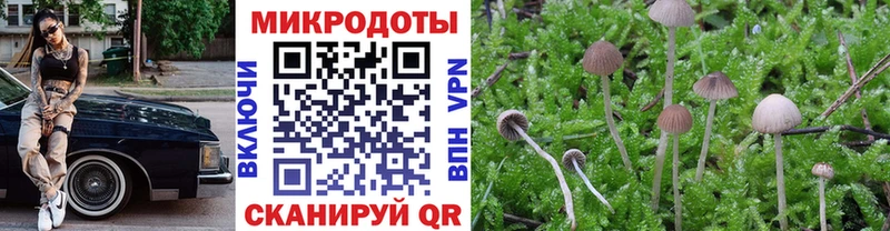 Псилоцибиновые грибы Psilocybine cubensis Надым